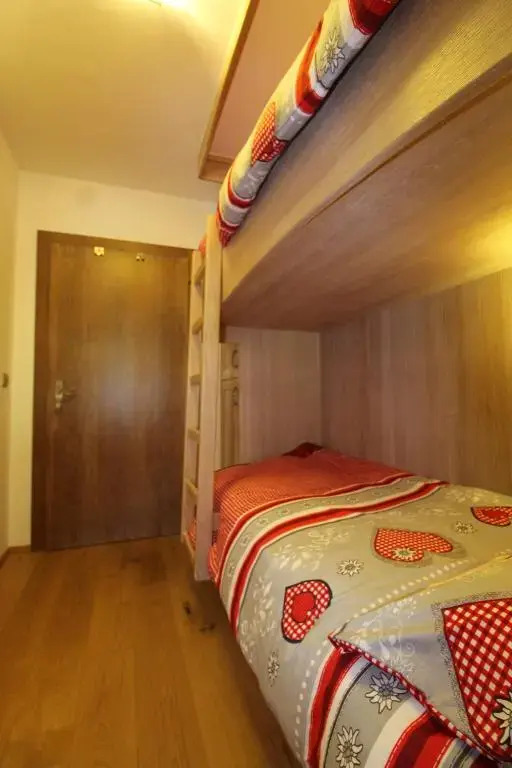 TEDDYBÄR ski-to-door Studio