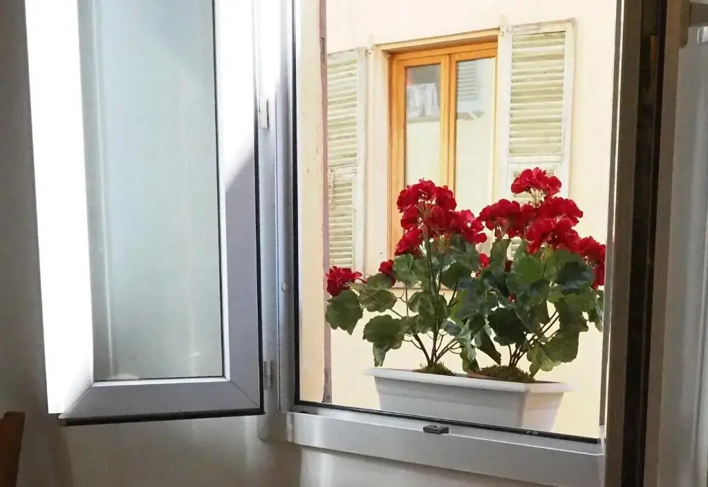 2 Bedroom Apartment Old Town Centre