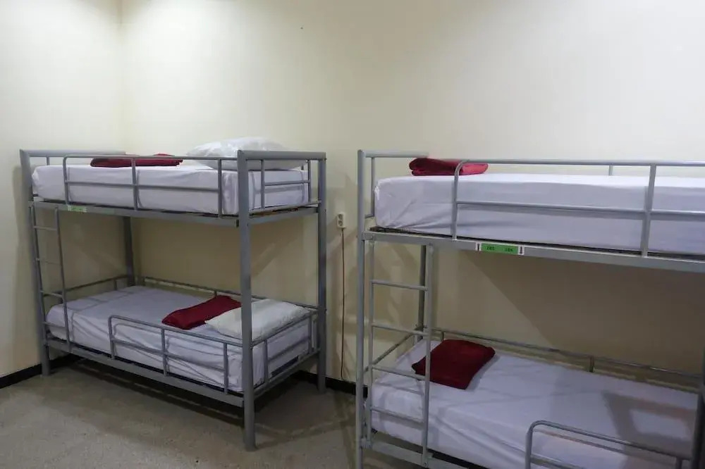 The Backpacker Semarang - Hostel