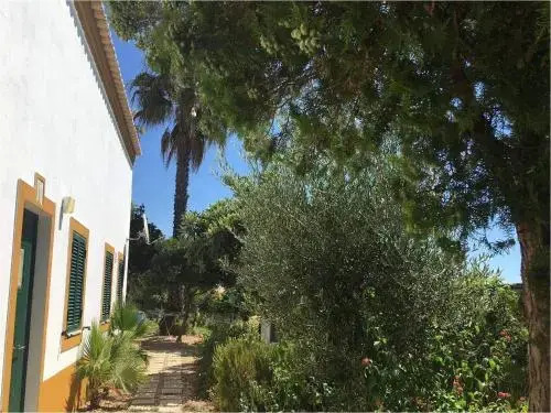 Apartamentos Cardo