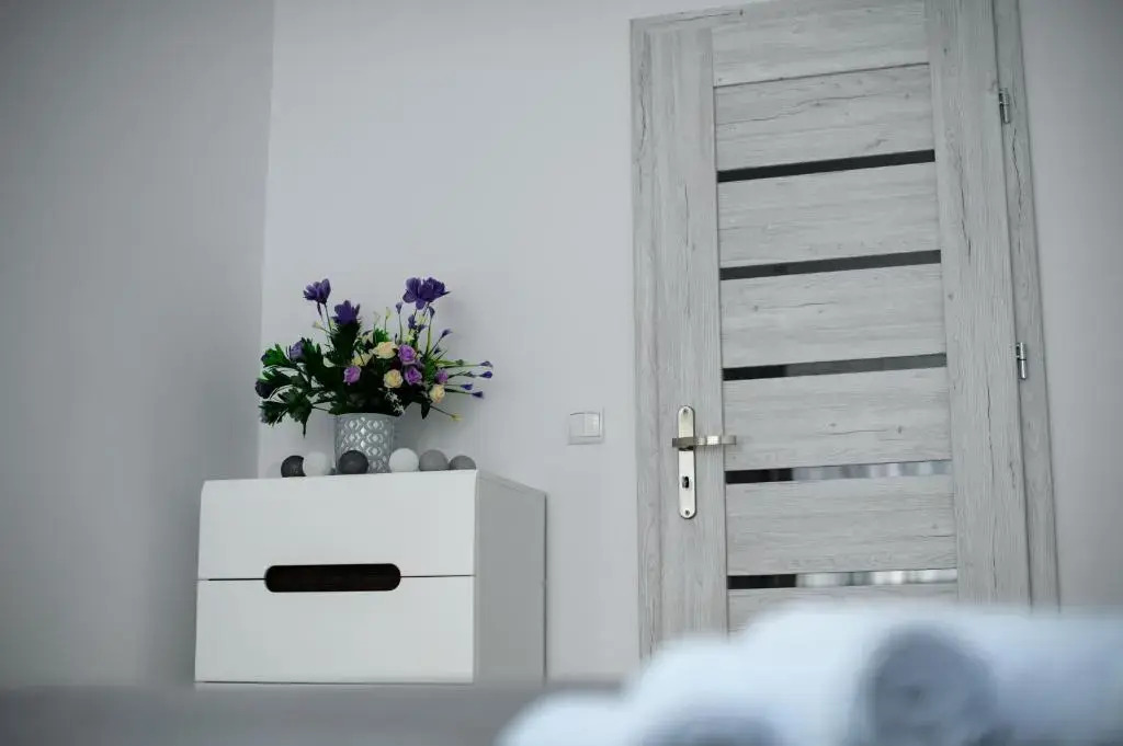 Apartament Przytulny
