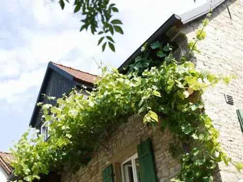 Vinotel Augustin