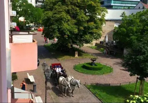 Sophienstrasse Appartement