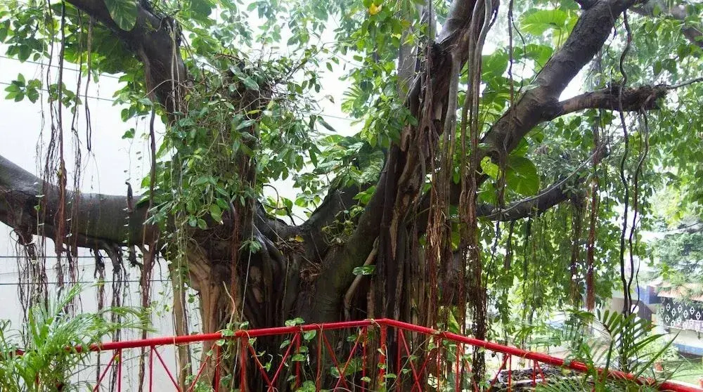 Calangute in Guest House