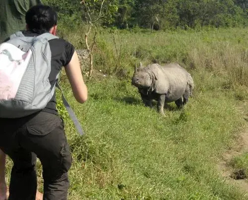 Hotel Rhinoceros-Homestay