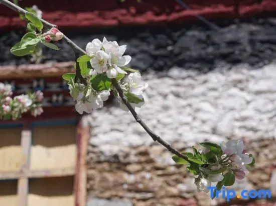 shanjian•huayu coffee Hostel