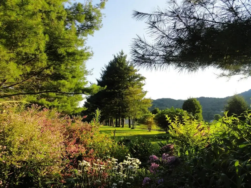 VCI - Maple Chalet