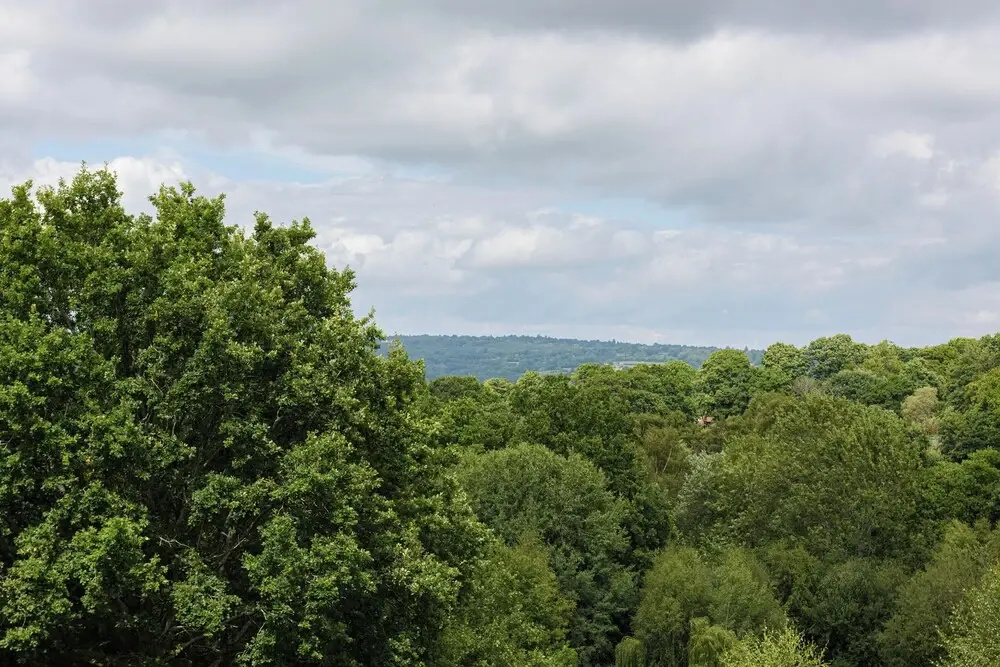 Heath Retreat