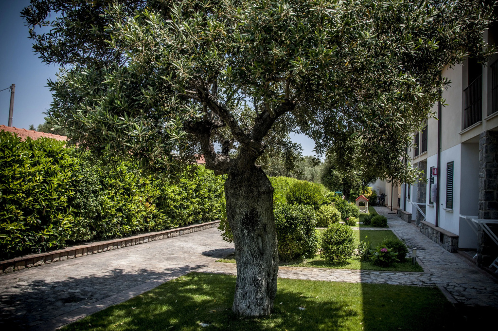 Residence Oliveto a Mare