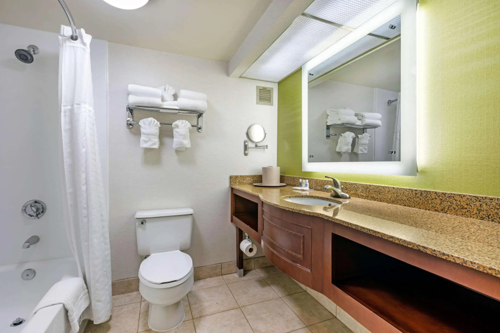 Comfort Inn Anaheim Resort