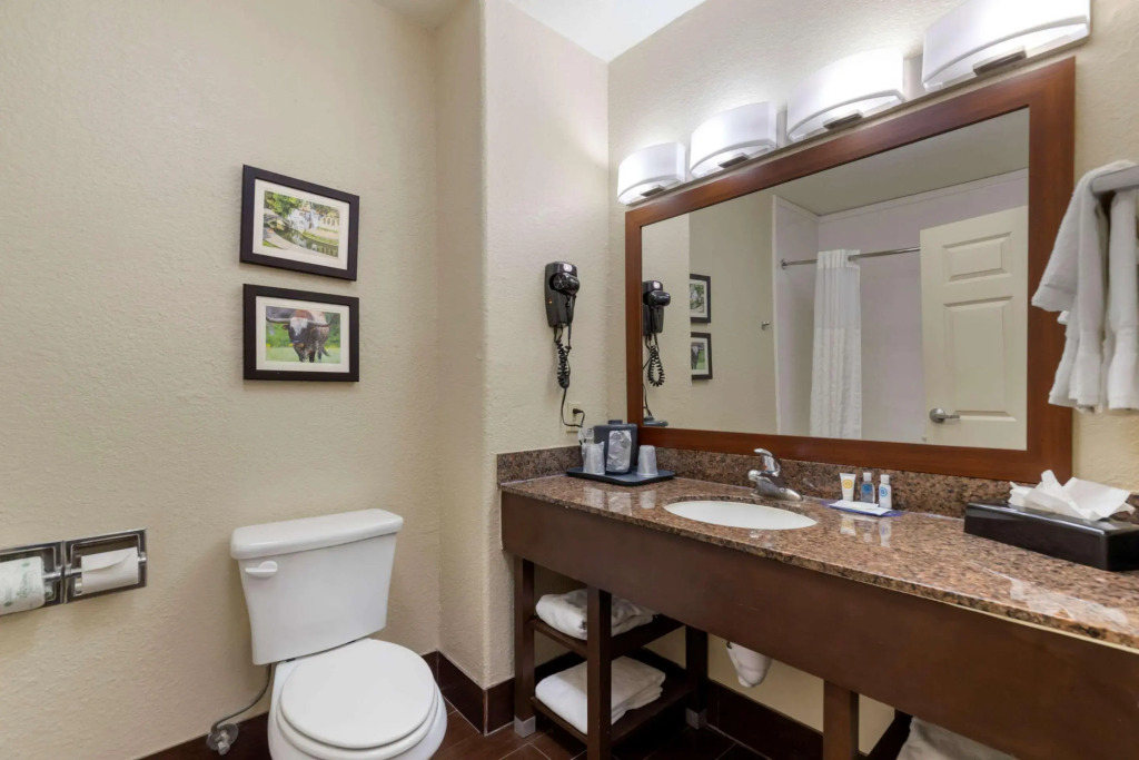 Comfort Inn & Suites Near Six Flags & Medical Center