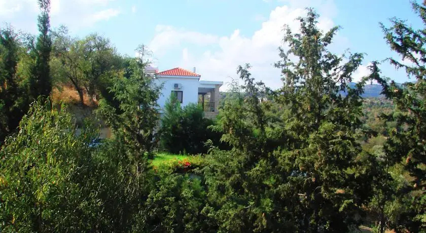 Aloni Villa 1