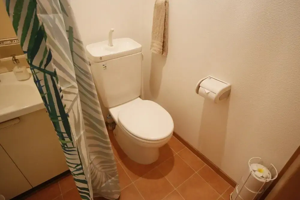 Pinehills Minoshima 703