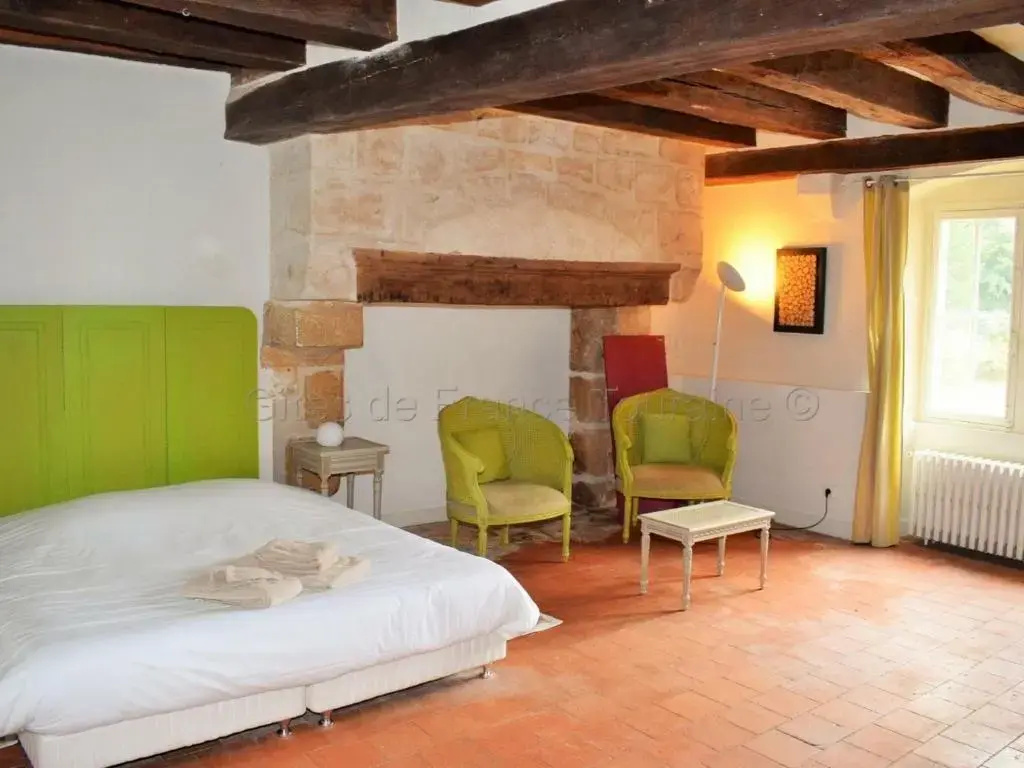 Élégante Demeure 17e avec Spa, Sauna et Authentique Cheminée, proche Châteaux de la Loire - FR-1-381-348