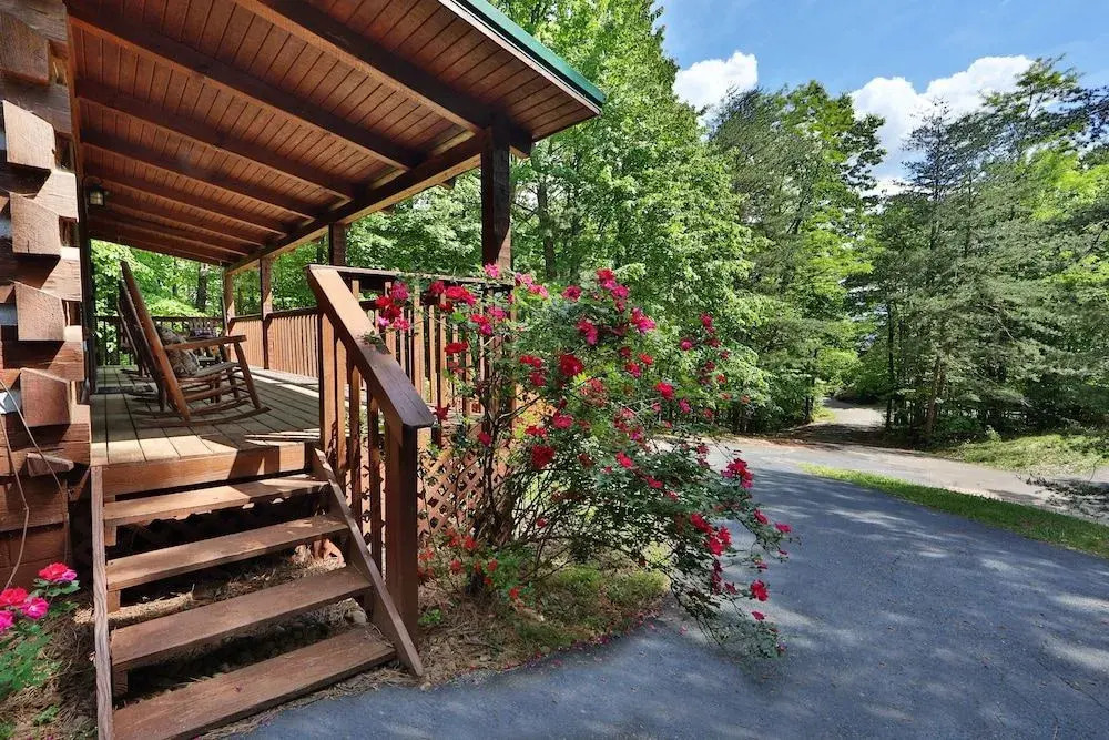 Bear Trails - Two Bedroom Cabin