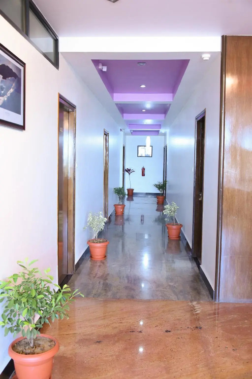 Hotel Sarayu Hassan