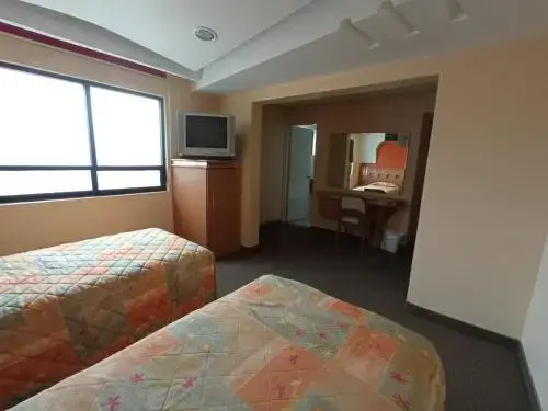 Hotel Terminal de Puebla
