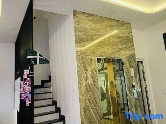 The Star hotel DTH3-31