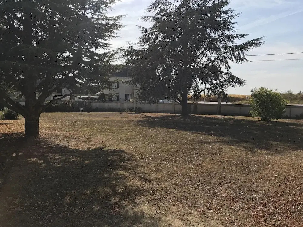 Mazmoura