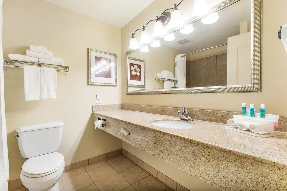 Holiday Inn Express & Suites LaGrange