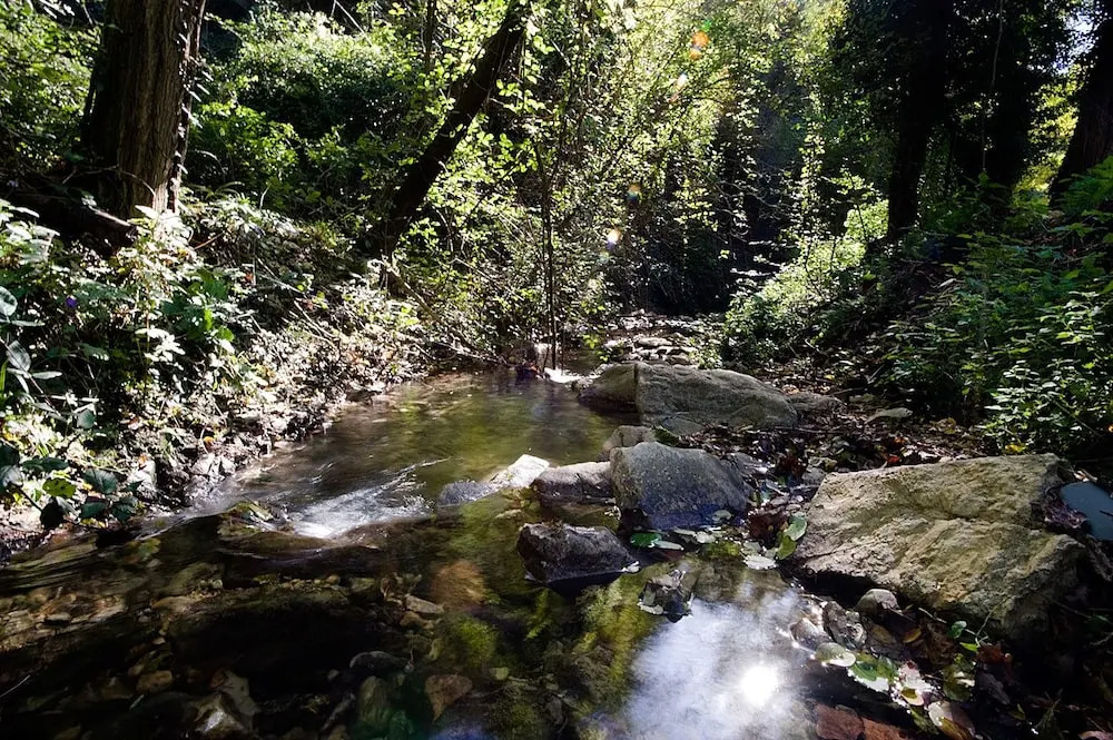 La Selva Hotel
