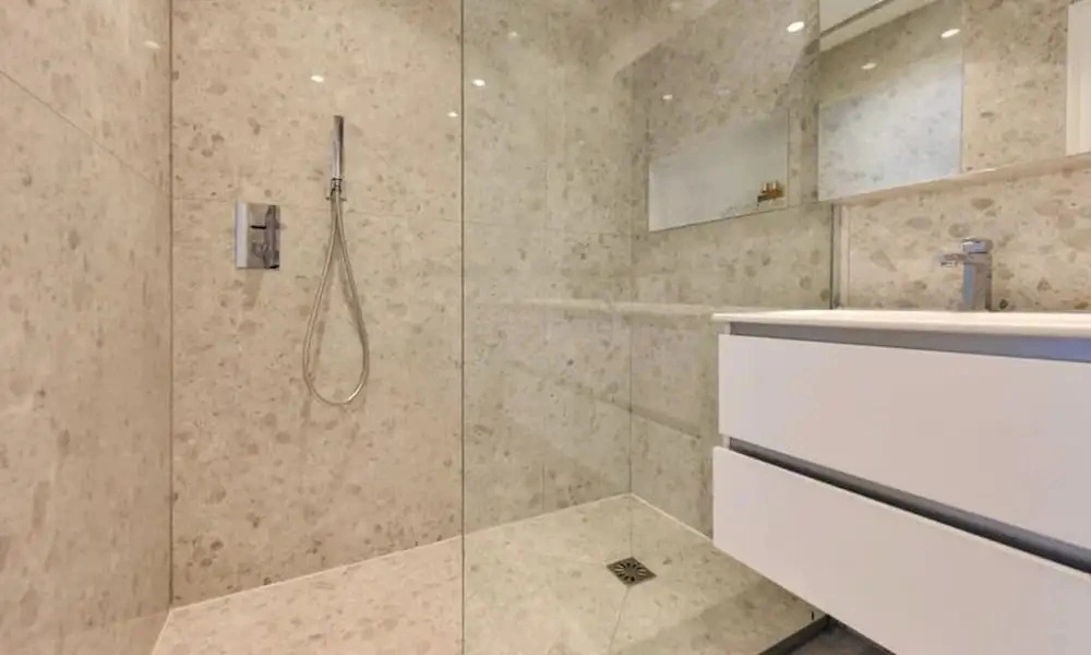 Apartment in Palm Beach Near Croisette