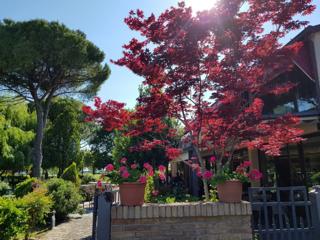 Hotel Classensis