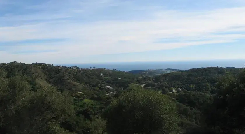 Villa Los Olivos