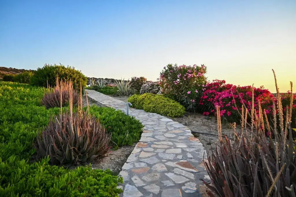 Schinoza luxury suites