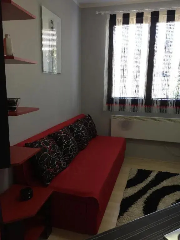 Apartman 2 Kopaonik - Vila Boris
