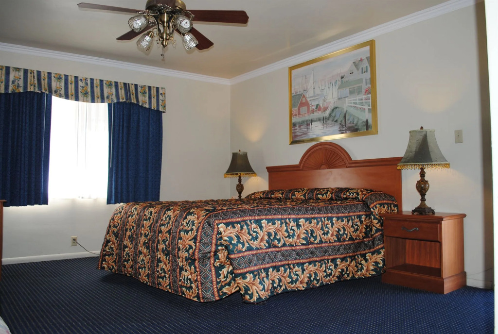 Viking Motel-Ventura