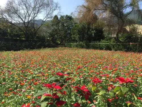 Yu Ho Yuan Lesiure Homestay