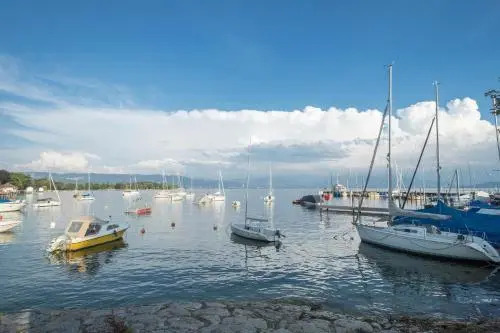 Seenaah Auf Der Insel