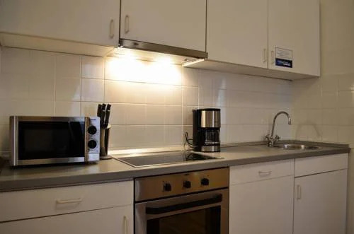GoVienna City Center Apartment