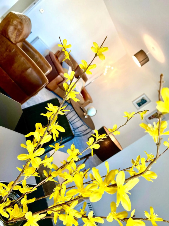 Serviced Accommodation Moray Holyrood