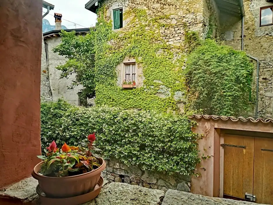 Alla Torre del Barbarossa B&B FORESTERIA