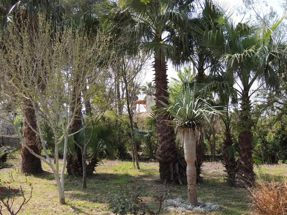 Villa Es Canya