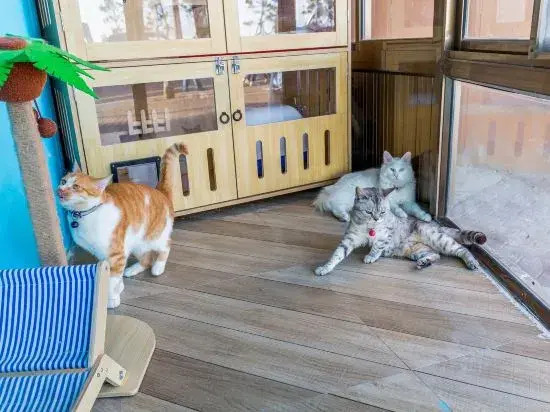 Changdao Chuanyu Seaview Homestay (Mingzhu Beach Branch)