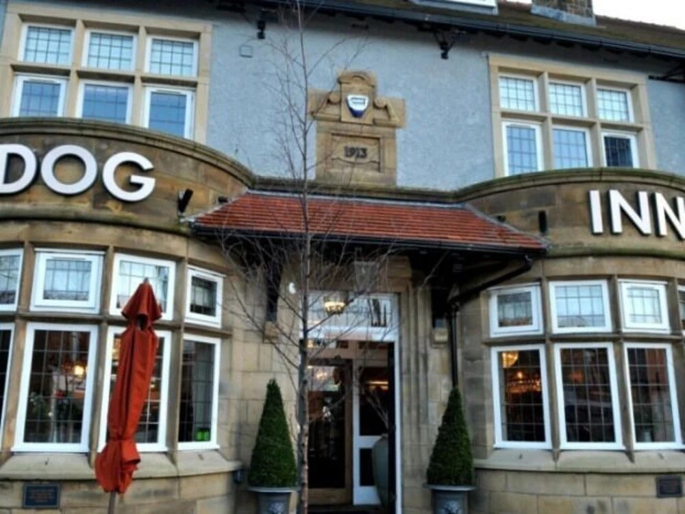 The Dog Inn