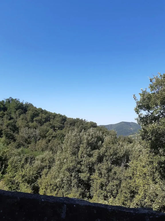 Country Residence Turicchi