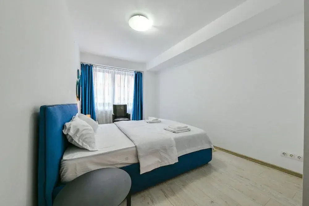 1BDR Somesului