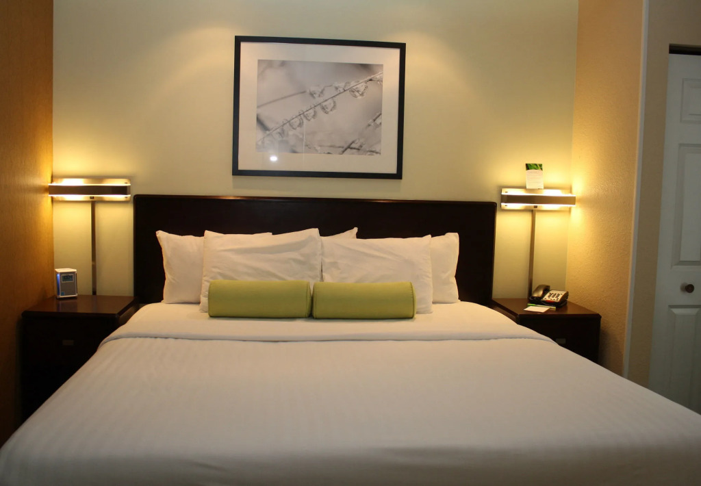 SpringHill Suites by Marriott Morgantown