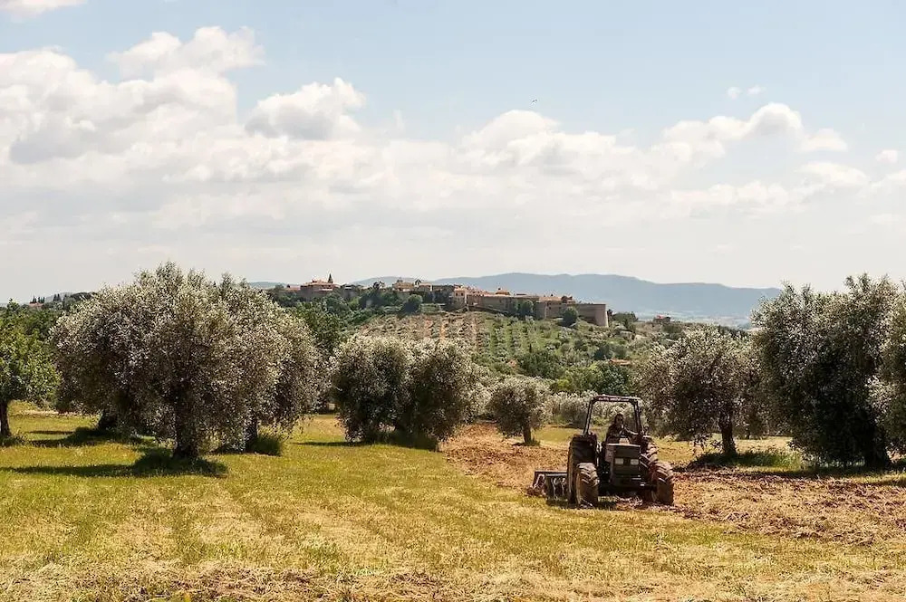 Tenuta Campospillo