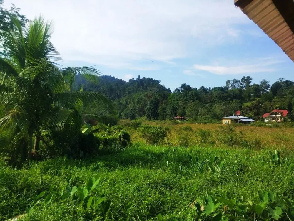 Nelmanns Nipa Huts