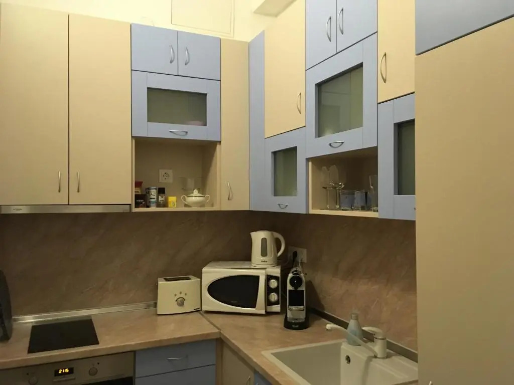 Apartment Vienna 55