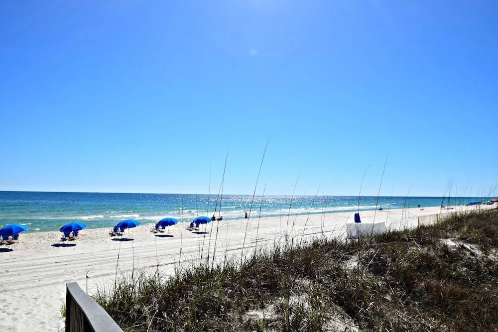 Dolphin Key 2C by RedAwning