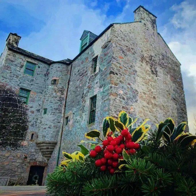 Buittle Castle Exclusive Use- Stay in your own Castle!