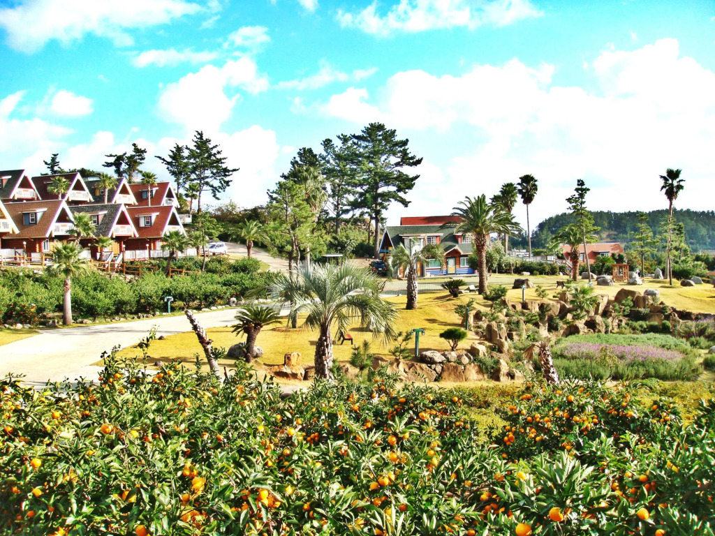 Jungmun Log Pension & Resort