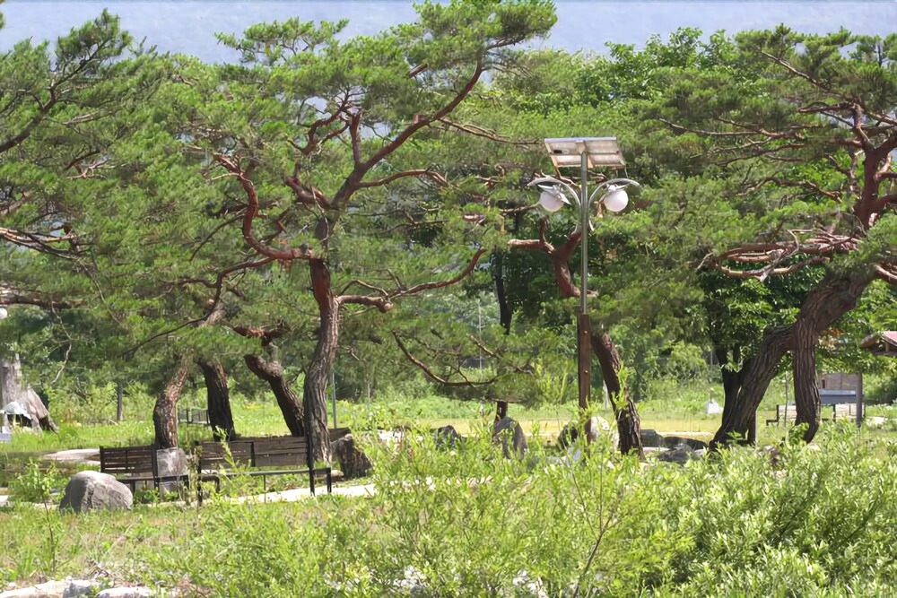 Yangpyeong Yom Pension