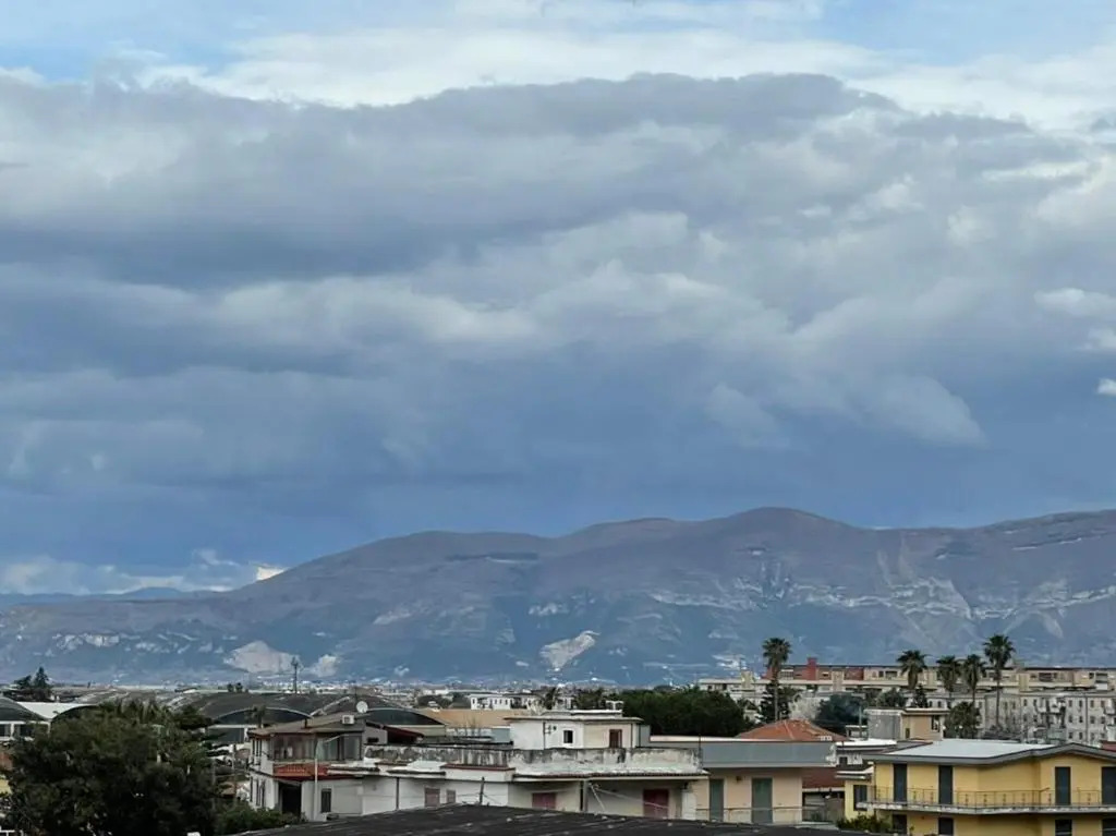 Ribo Apartments